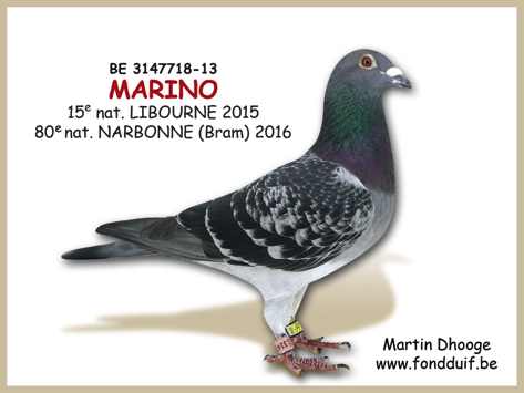 MARINO