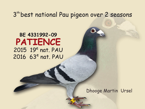 patience2