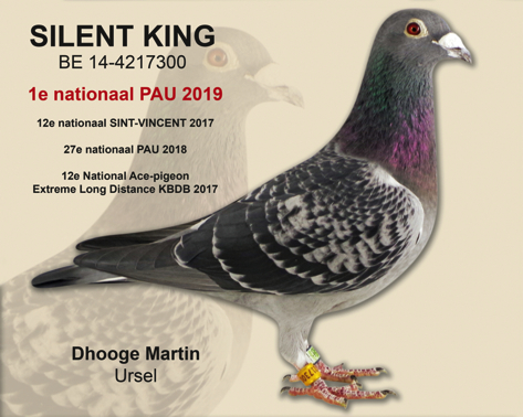 SILENT KING