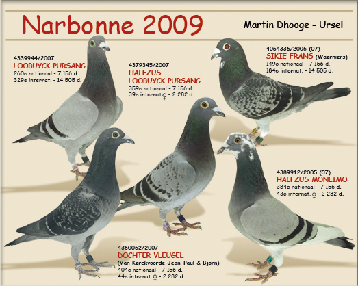 Narbonne 2009