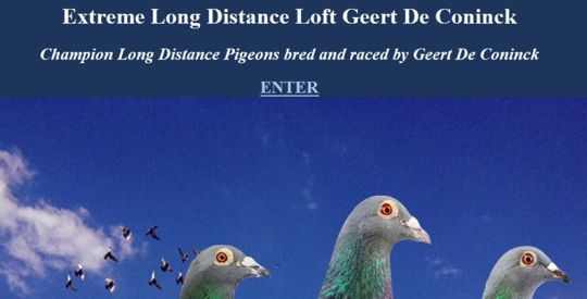 link geert de coninck
